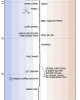 earth_temperature_timeline15.png