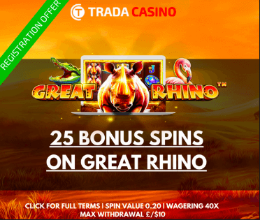beste online casino bonus 2024