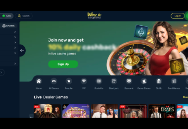 Winz.io Casino Review (2024): Scam Or Legit? Find Out At Casinomeister